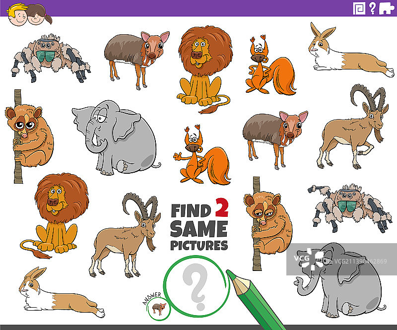 找出两个相同的卡通野生动物（教育类）图片素材