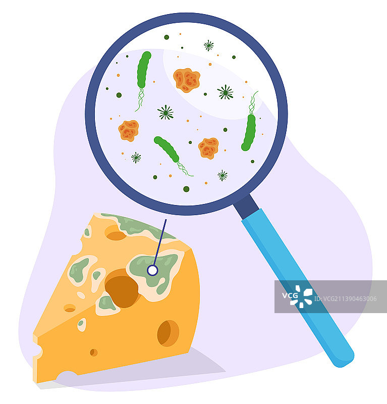 放大镜下的三角形霉变奶酪图片素材