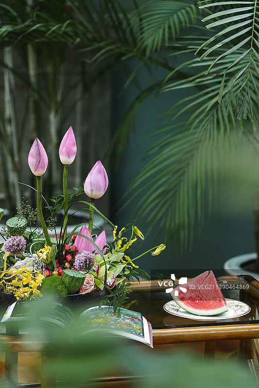 荷花西瓜和绿色植物图片素材