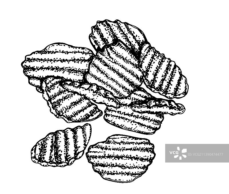 瓦楞纸薯片波浪形炸薯片素描图片素材