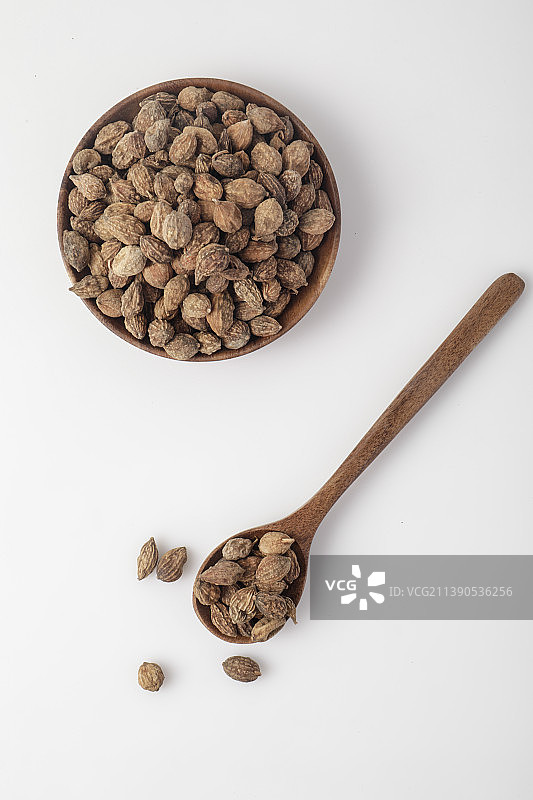 中华传统药材益智仁图片素材