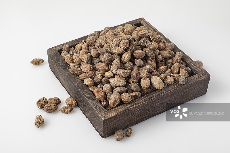 中华传统药材益智仁图片素材