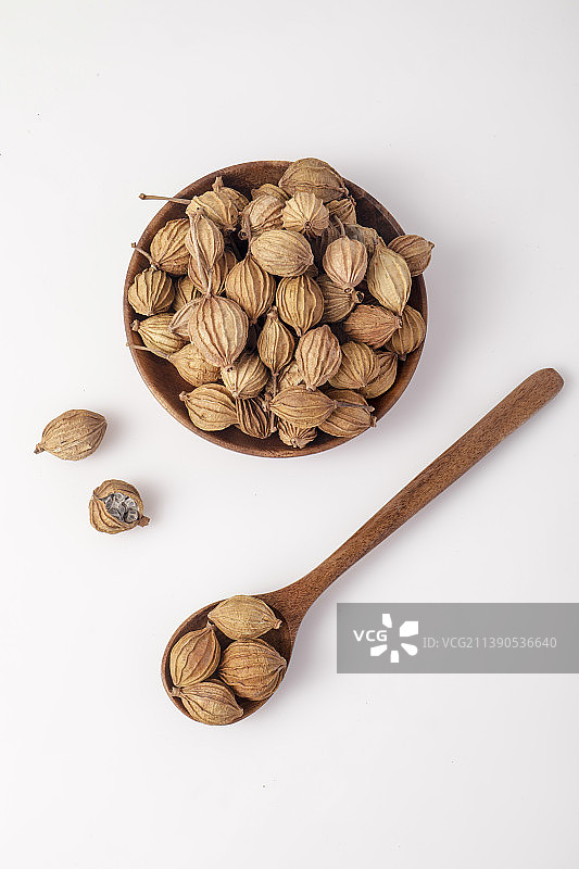 中华传统药材香砂图片素材