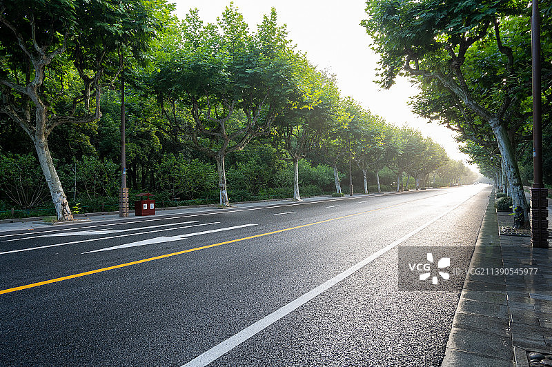 西湖边清晨的道路图片素材