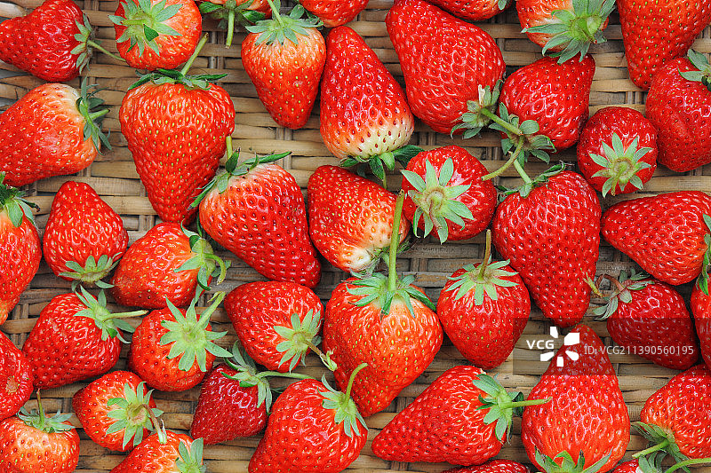 北京昌平，草莓。图片素材