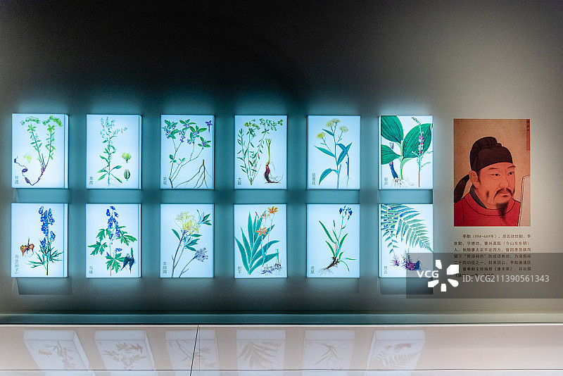 唐本草展板简介图片素材