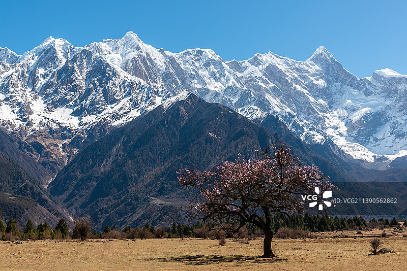 南迦巴瓦雪山图片素材