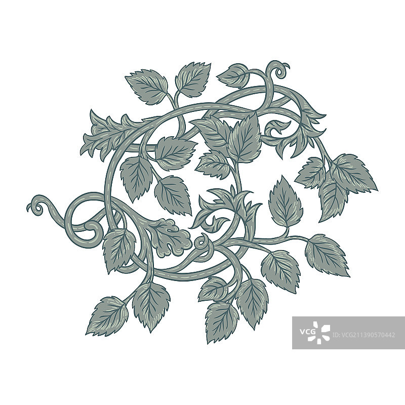 复古花卉元素图片素材