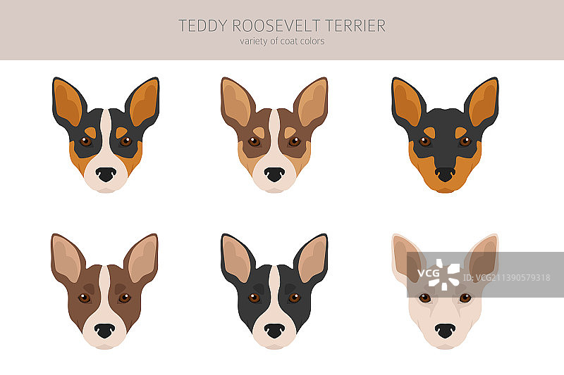 不同姿势的泰迪罗斯福梗剪贴画图片素材