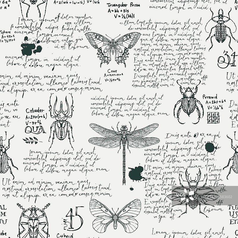 昆虫无缝图案设计图片素材
