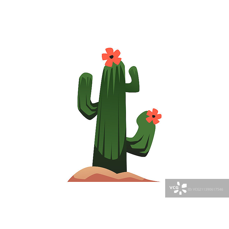 沙漠中盛开花朵的仙人掌扁平风格图片素材