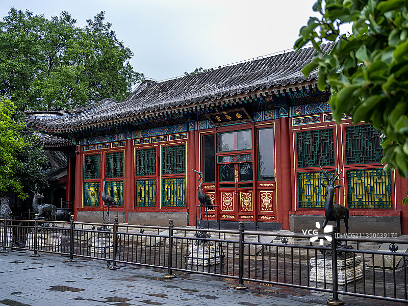 雨后颐和园Summer Palace after rain图片素材