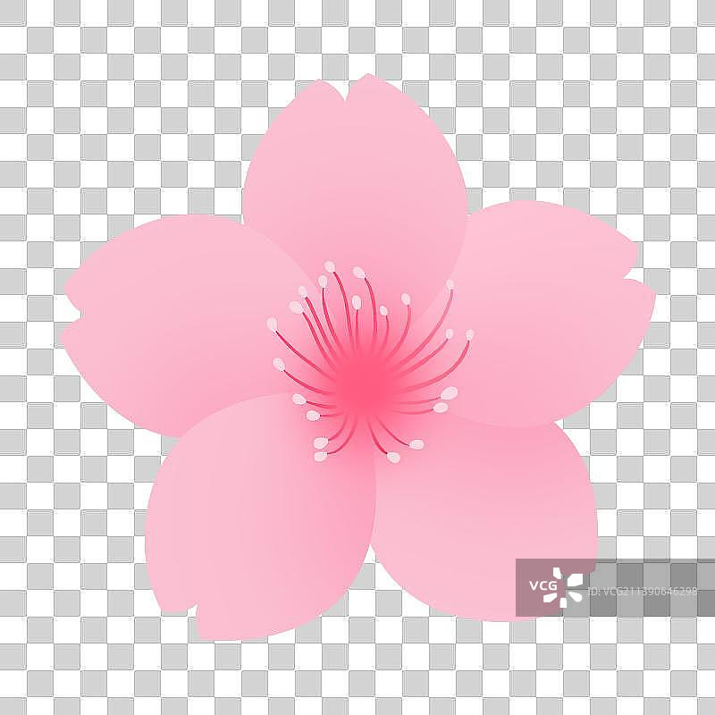 花插画元素，春天粉色情人节花卉背景元素，优雅粉色植物图纸盛开图鉴图片素材