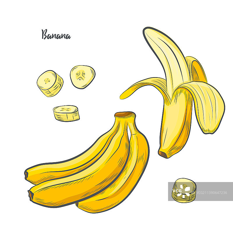 香蕉水果素描图片素材