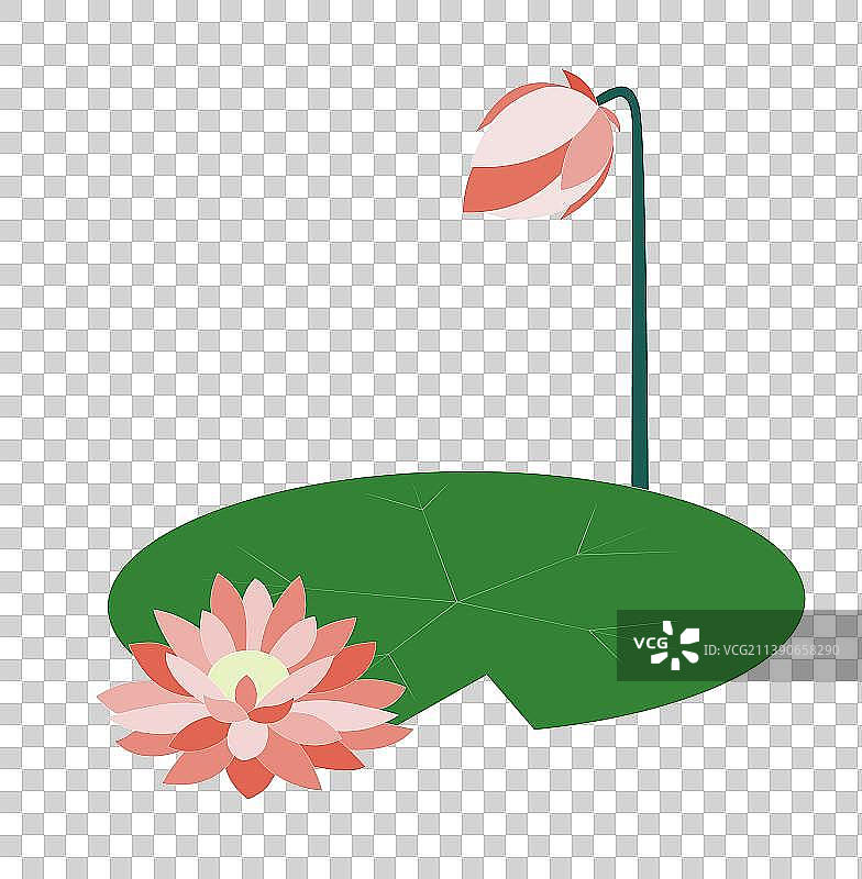 夏季荷花插画元素图片素材