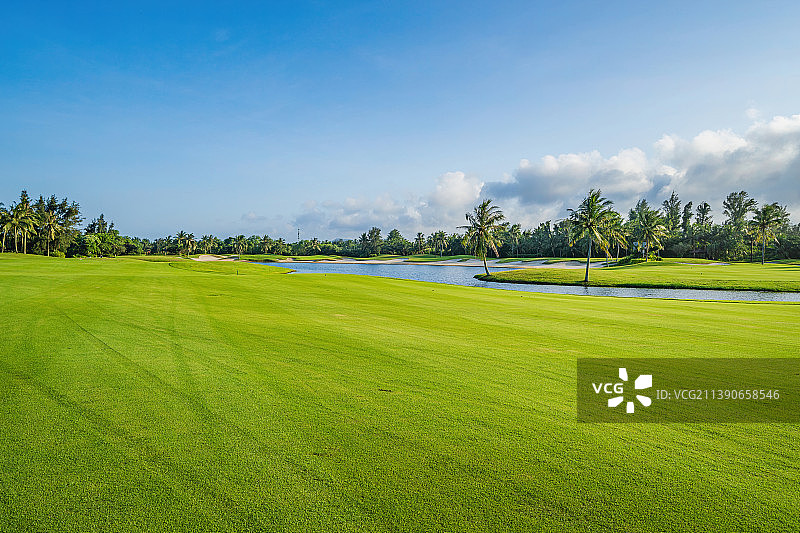蓝天白云下的高尔夫球场 热带气候下的树林草地图片素材