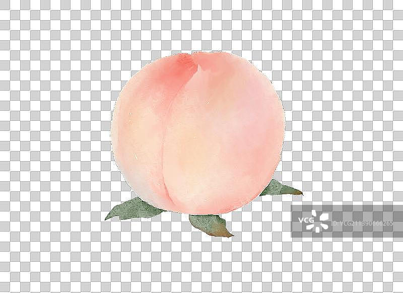 水彩风粉色水蜜桃插画元素图片素材