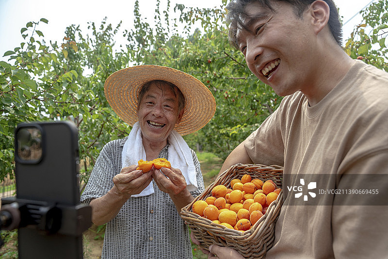果农父子在网络直播销售图片素材