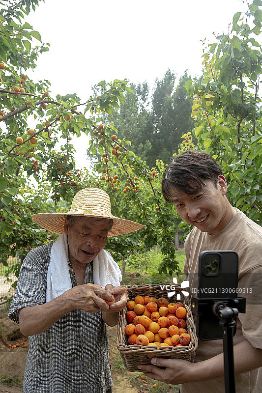 果农父子在网络直播销售图片素材