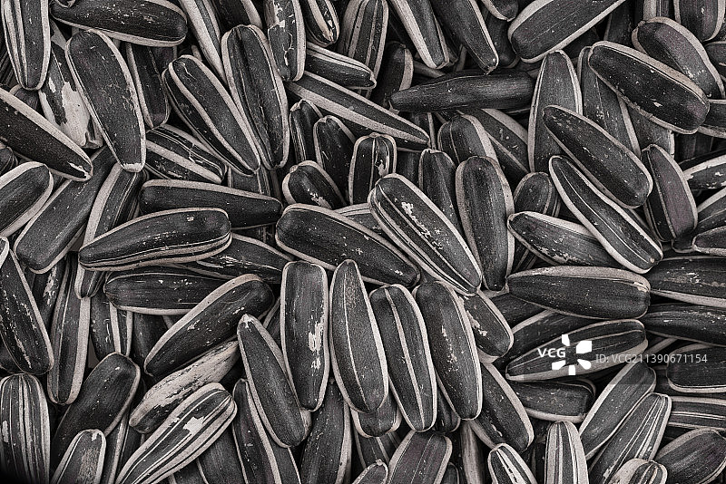 瓜子 / 向日葵籽背景图片素材