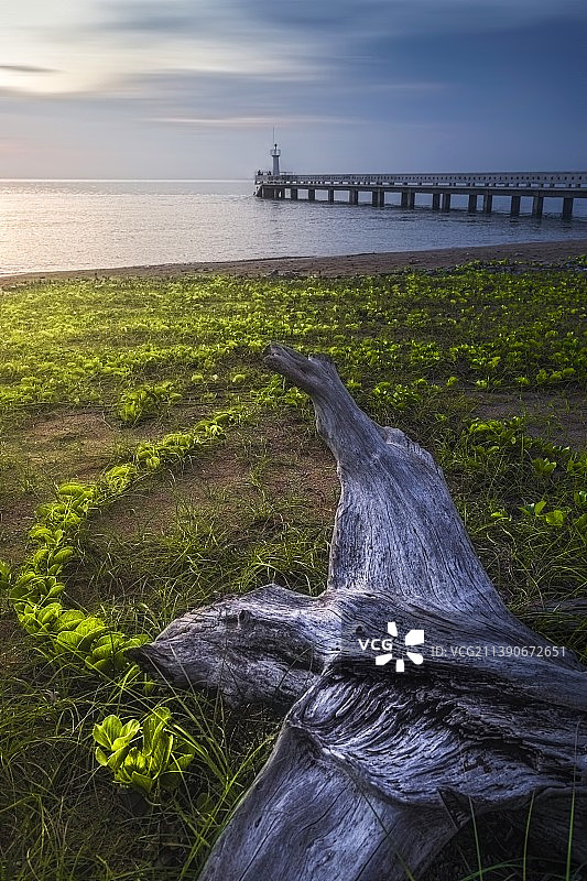 徐闻南极村图片素材