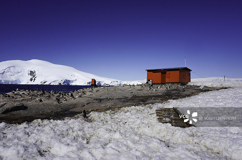 米凯尔森港 Antarctica Mikkelsen Harbou 企鹅 Penguins图片素材