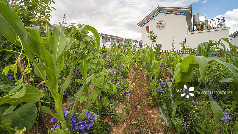 兰坪通甸易门箐珠江帮扶小区图片素材