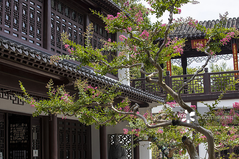 南京玄武湖黄册库紫薇花图片素材