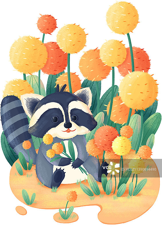 小浣熊黄金棒花卉植物小场景插画图片素材