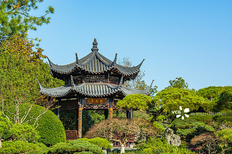 牡丹亭 花港公园 西湖风光  江南园林 古亭图片素材