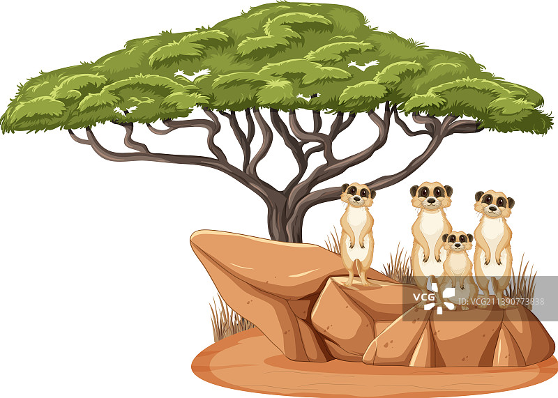 一群猫鼬站在大树旁图片素材