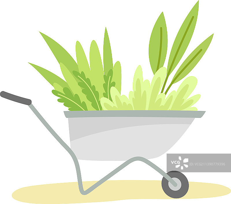 用手推车和绿色草本植物进行园艺图片素材