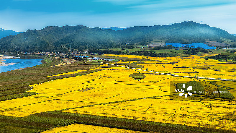 西村坡上望田野图片素材
