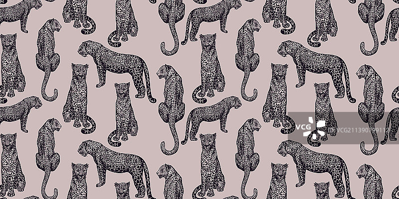 紫色豹纹动物无缝图案图片素材