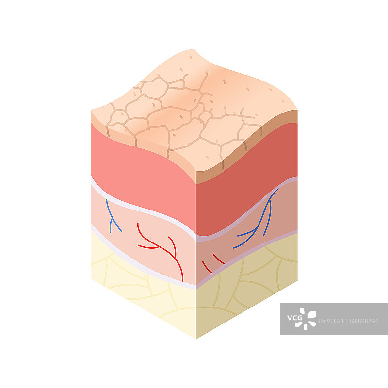 交叉的皮肤护理医学概念问题图片素材