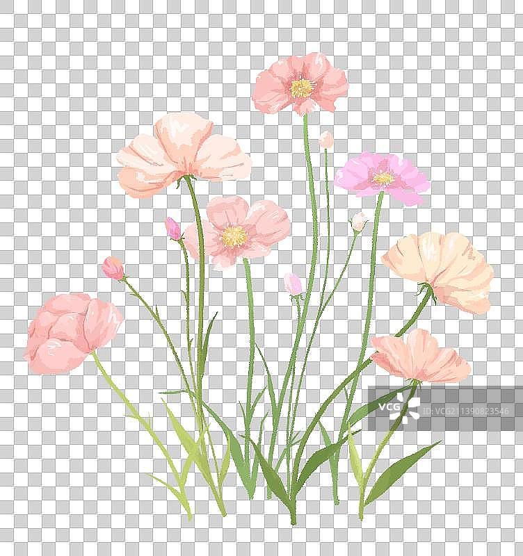 小清新花卉插画图素2图片素材