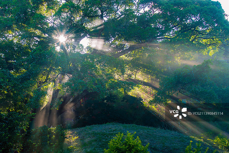 美丽乡村图片素材