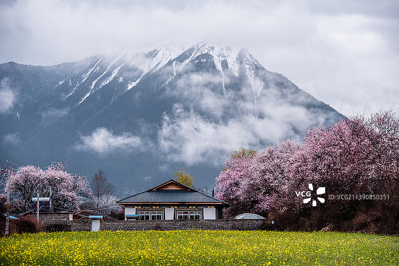 波密桃花沟风景图片素材