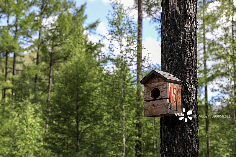 莫尔道嘎图片素材