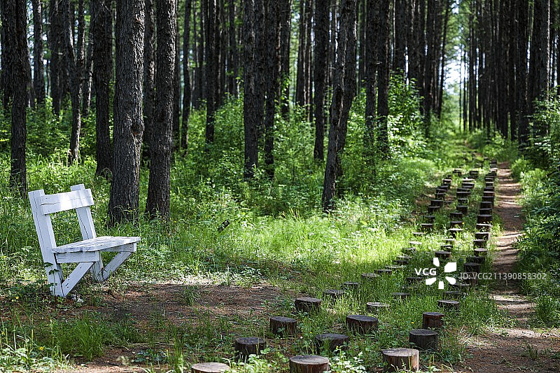 根河湿地图片素材