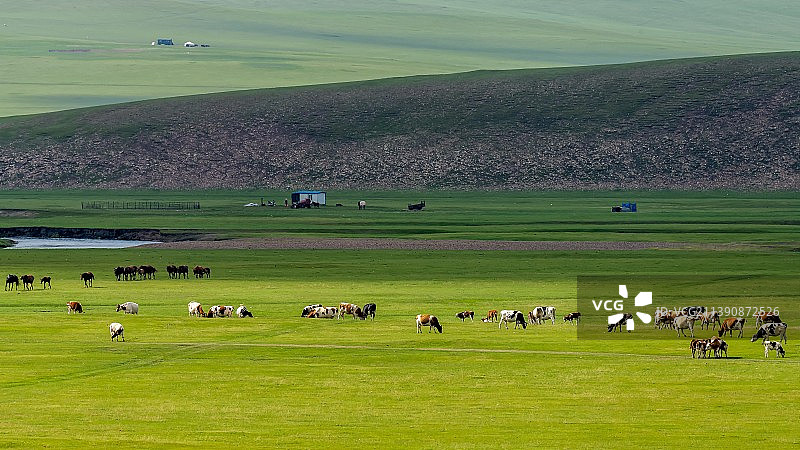 呼伦贝尔草原牧场图片素材