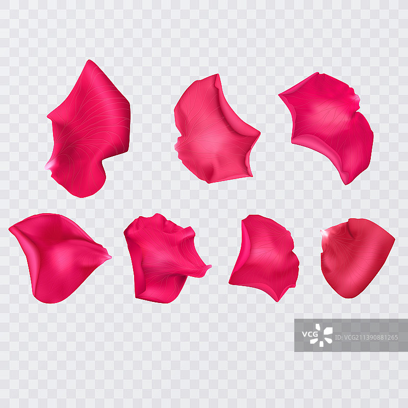 透明背景上的红色玫瑰花瓣图片素材