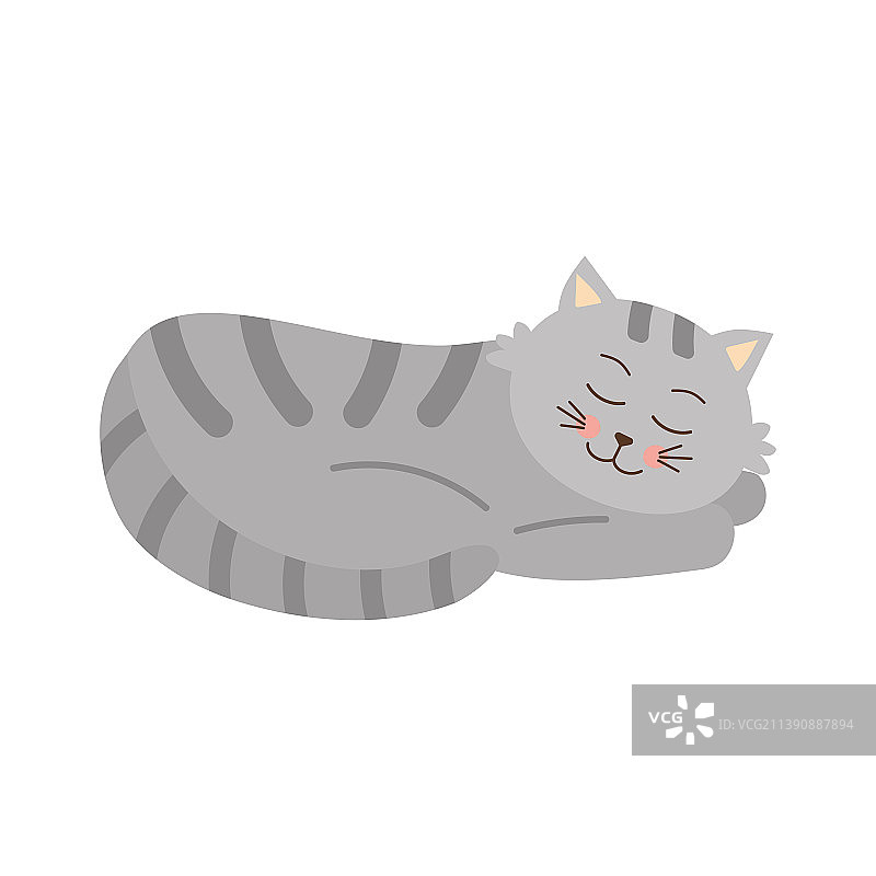 可爱的灰色虎斑猫宠物图片素材