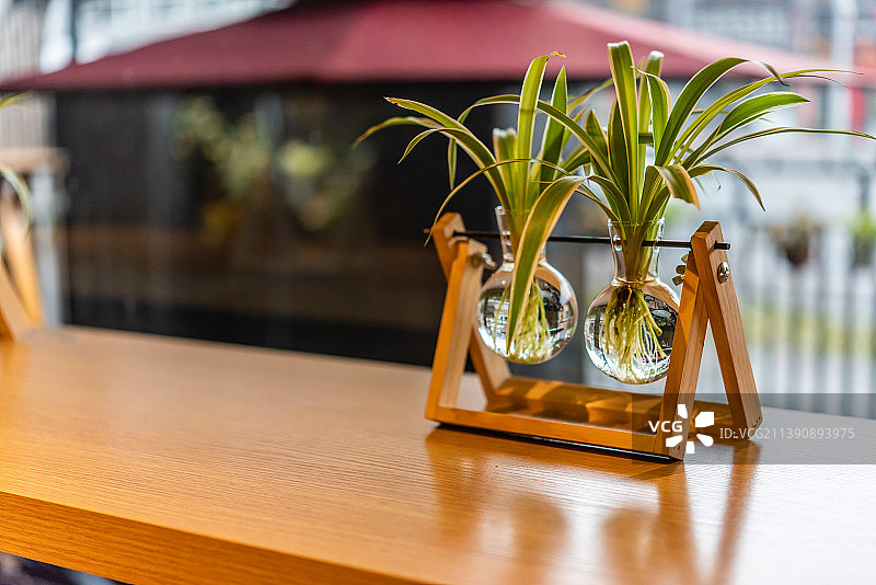 窗前木桌面上的吊兰装饰图片素材
