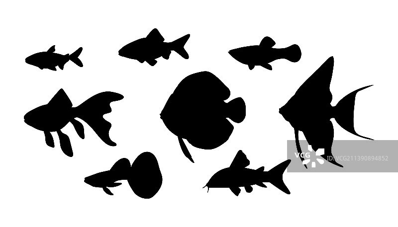 黑色剪影水族箱鱼图片素材