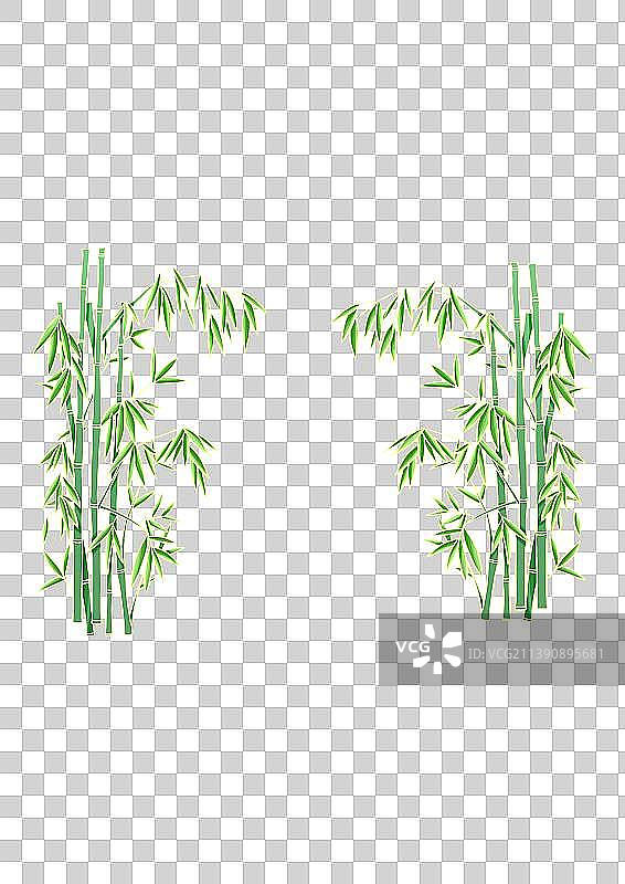 竹子图片素材