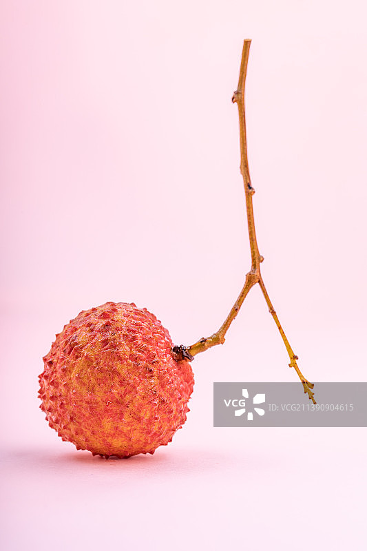 一颗桂味荔枝图片素材