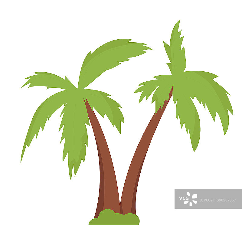 白色背景扁平风格棕榈树图片素材