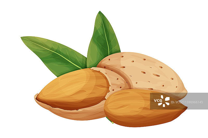 带叶子的带壳杏仁原料坚果图片素材