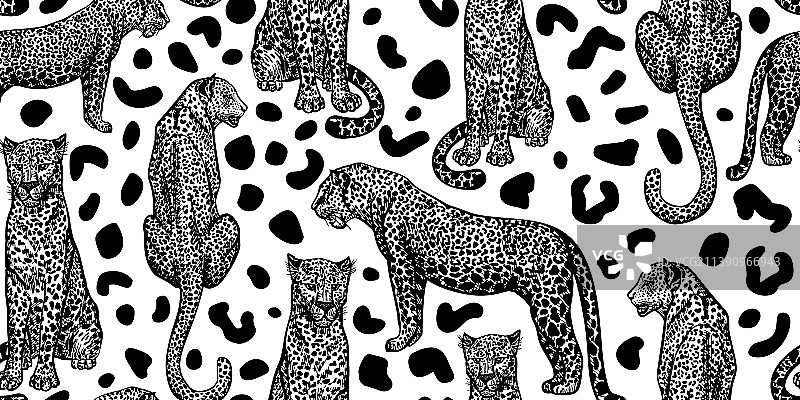 豹纹动物无缝斑点图案图片素材